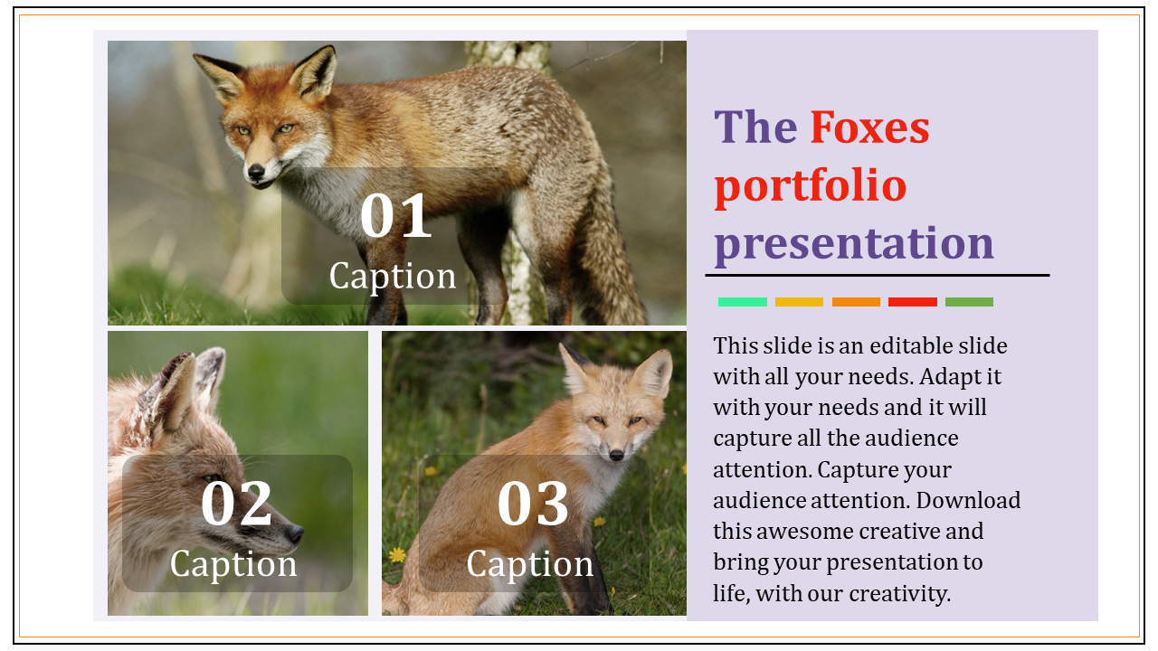 portfolio ppt samples-The Foxes portfolio presentation